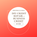 Credit Bundle: Personal + Business (DIY Credit Repair & Learn how to Establish Business Credit)
